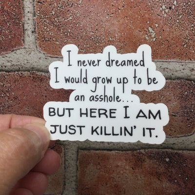 I Never Dreamed/Vinyl Sticker