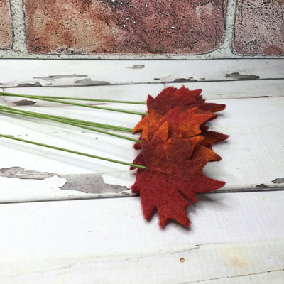 Rusty Red/Wooly Leaf on 18" Stem