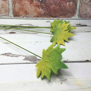 Yellow-Green/Wooly Leaf on 18" Stem