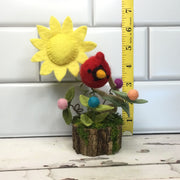 Wooly Cardinal, Sun & Flora/On Natural Tree Stump