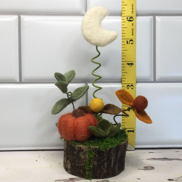 Autumn Pumpkin & Moon on Natural Tree Stump