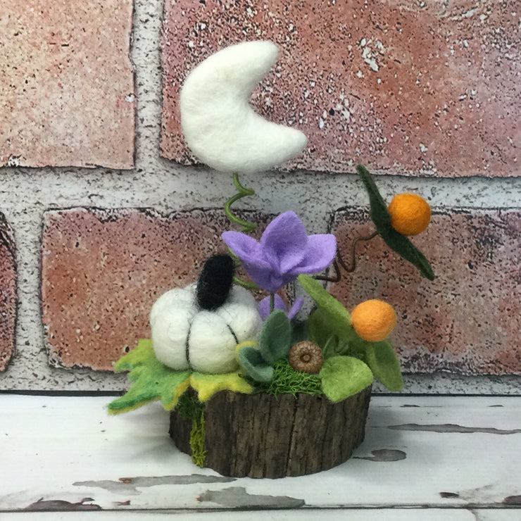 White Pumpkin, Moon & Flora on Natural Tree Stump