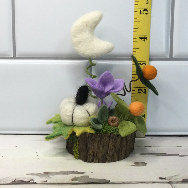 White Pumpkin, Moon & Flora on Natural Tree Stump