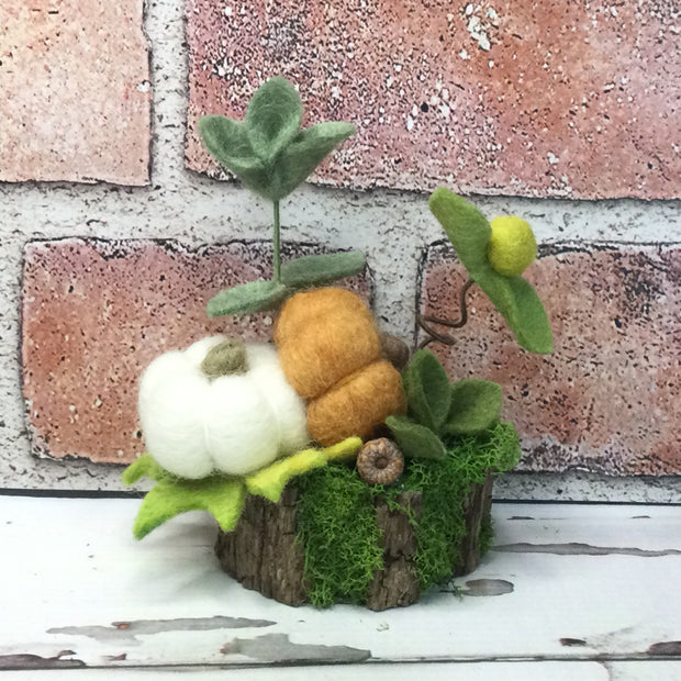 Ochre & White Pumpkins & Flora on Natural Tree Stump