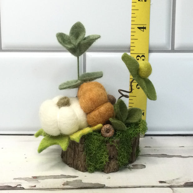 Ochre & White Pumpkins & Flora on Natural Tree Stump