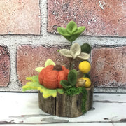 Autumn Pumpkin & Flora on Natural Tree Stump