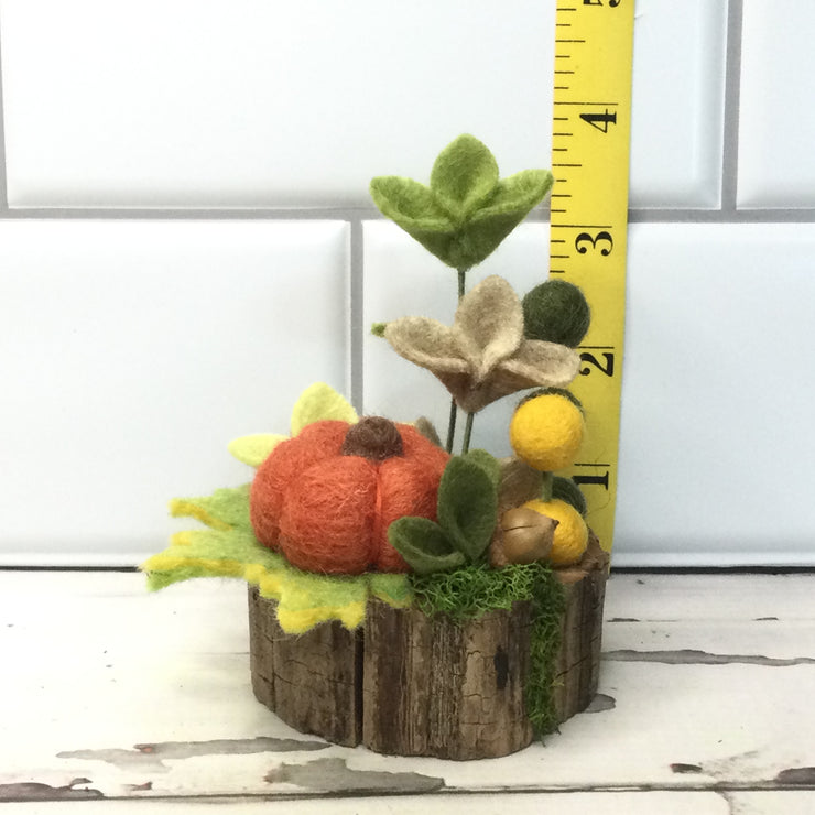 Autumn Pumpkin & Flora on Natural Tree Stump