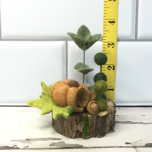 Ochre Pumpkin & Flora on Natural Tree Stump