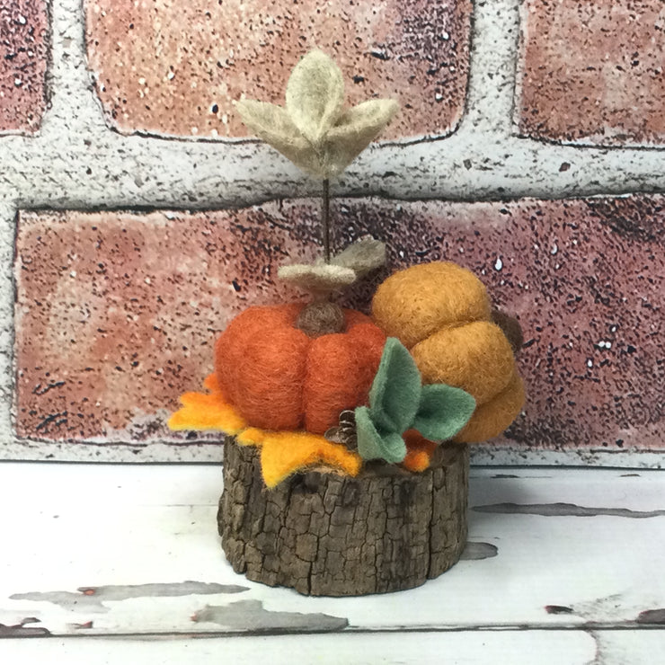 Autumn & Ochre Pumpkins & Flora on Natural Tree Stump