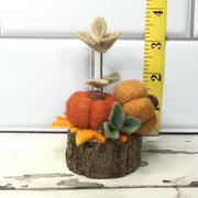 Autumn & Ochre Pumpkins & Flora on Natural Tree Stump