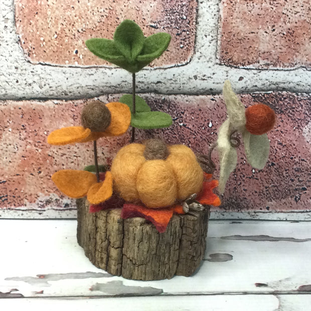 Ochre Pumpkin & Flora on Natural Tree Stump