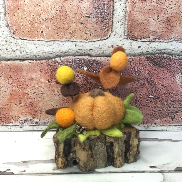 Ochre Pumpkin & Flora on Natural Tree Stump