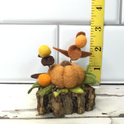 Ochre Pumpkin & Flora on Natural Tree Stump