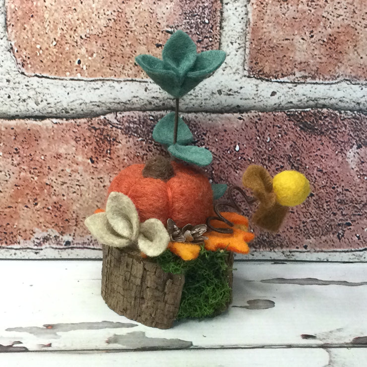 Autumn Pumpkin & Flora on Natural Tree Stump