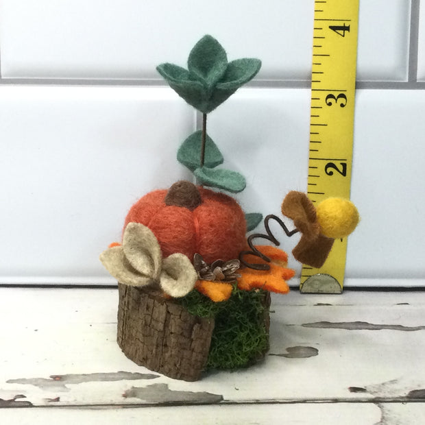 Autumn Pumpkin & Flora on Natural Tree Stump