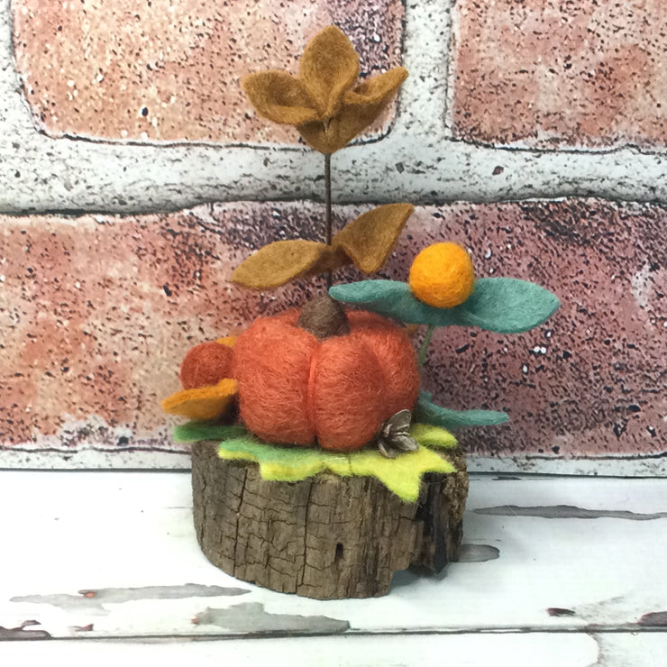 Autumn Pumpkin & Flora on Natural Tree Stump