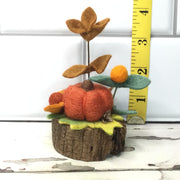 Autumn Pumpkin & Flora on Natural Tree Stump