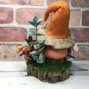 Brimmed Hat Gnome Pumpkin,  Mushrooms & Flora on Natural Tree Stump