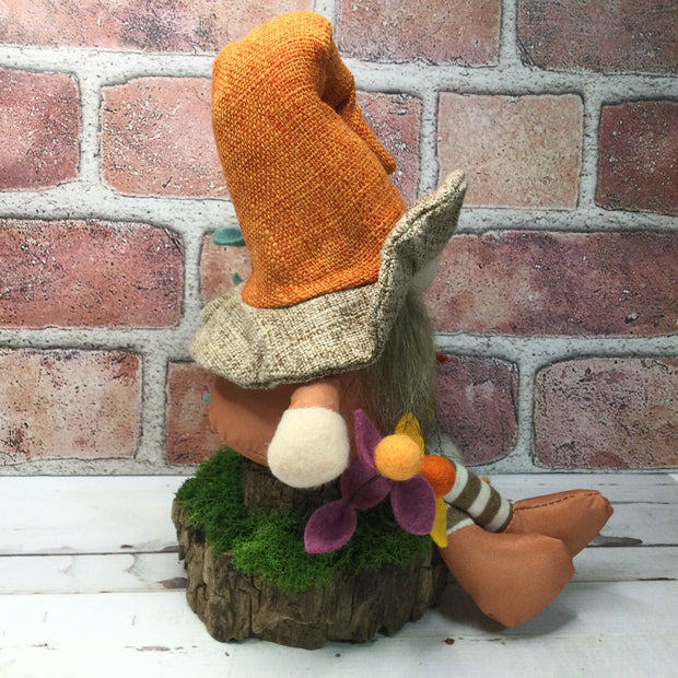 Brimmed Hat Gnome Pumpkin,  Mushrooms & Flora on Natural Tree Stump