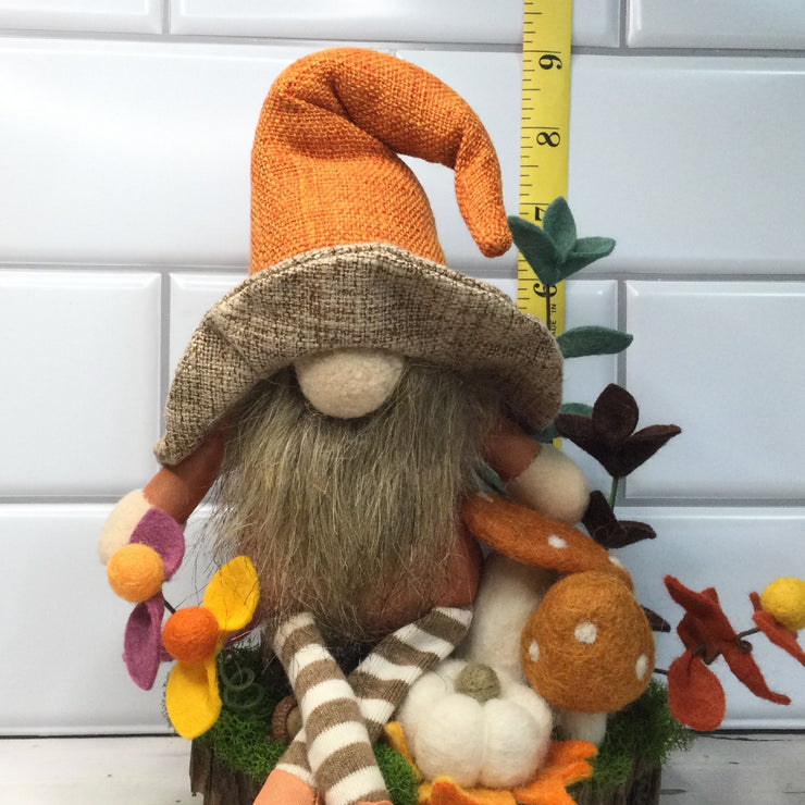 Brimmed Hat Gnome Pumpkin,  Mushrooms & Flora on Natural Tree Stump