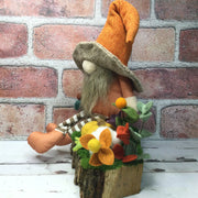 Brimmed Hat Gnome, Pumpkins & Flora on Natural Tree Stump