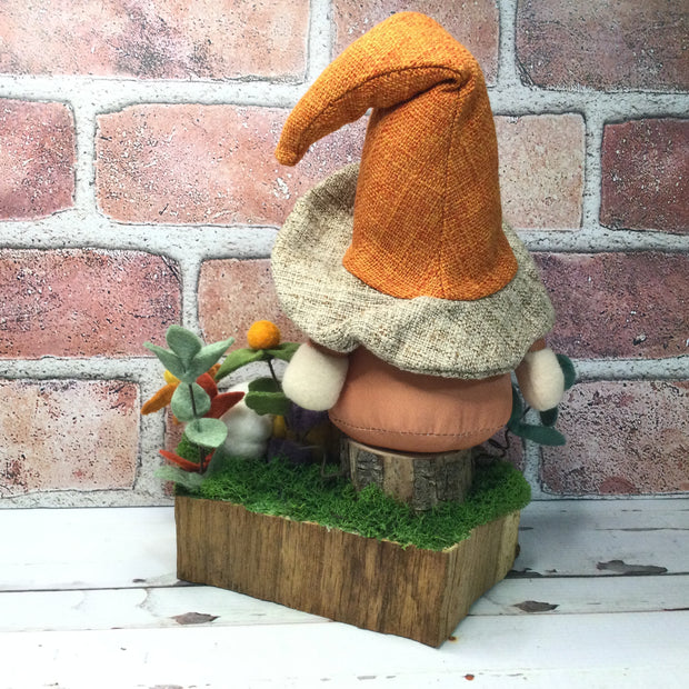 Brimmed Hat Gnome, Pumpkins & Flora on Natural Tree Stump