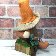 Brimmed Hat Gnome, Pumpkins & Flora on Natural Tree Stump