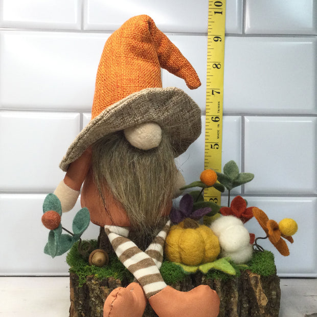 Brimmed Hat Gnome, Pumpkins & Flora on Natural Tree Stump