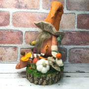 Brimmed Hat Gnome Pumpkins, & Flora on Natural Tree Stump