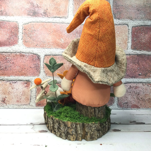 Brimmed Hat Gnome Pumpkins, & Flora on Natural Tree Stump