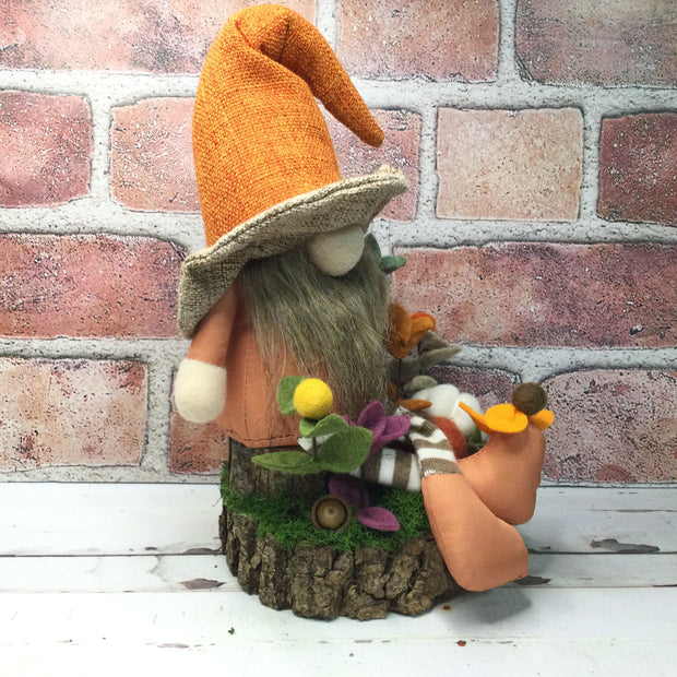 Brimmed Hat Gnome Pumpkins, & Flora on Natural Tree Stump