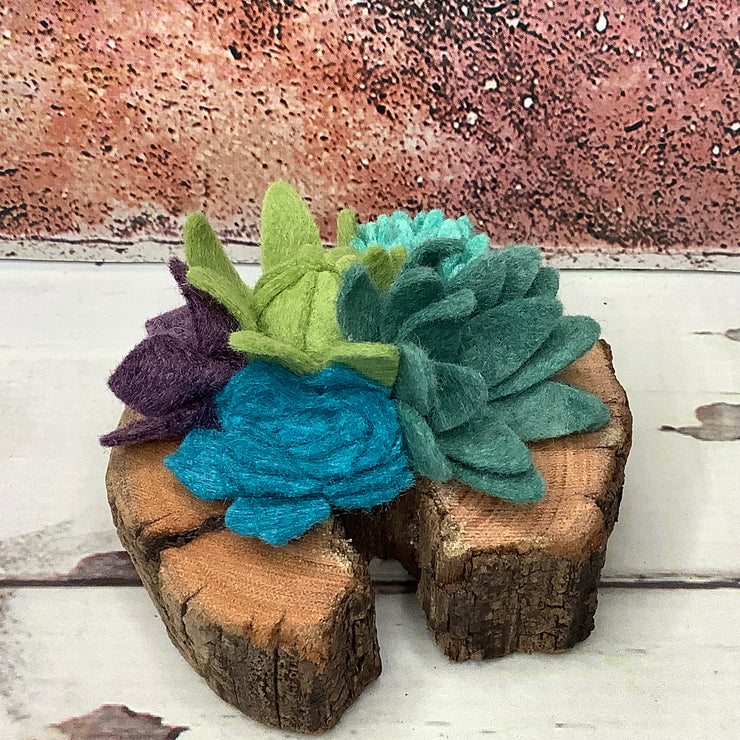 Teal Succulent Garden on Natural Wood Base