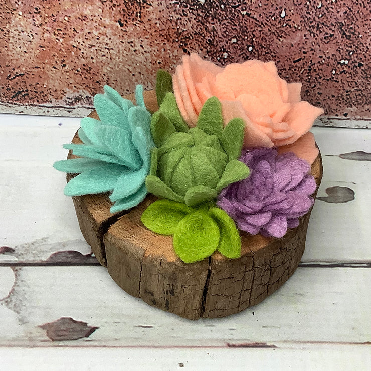 Bright Peach Succulent Garden on Natural Wood Base