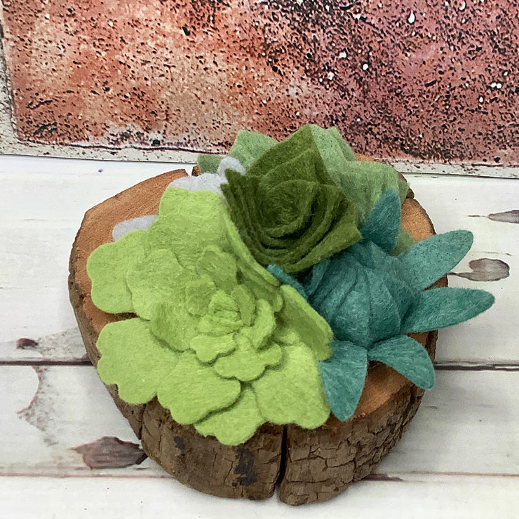 Moss Green Succulent Garden on Natural Wood Base