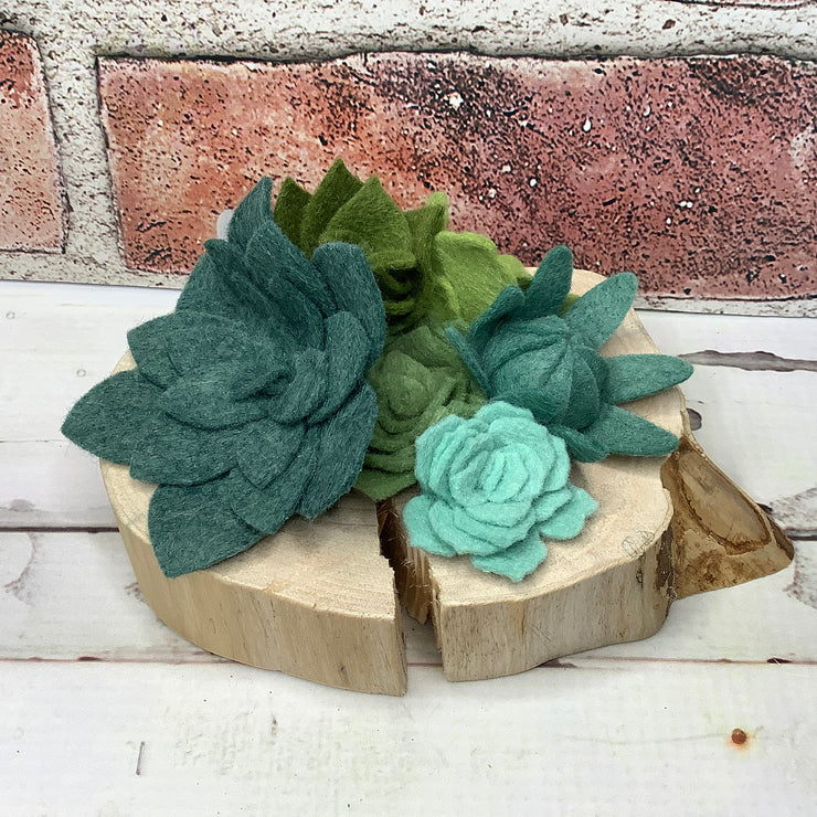 Green Succulent Garden on Natural Wood Base