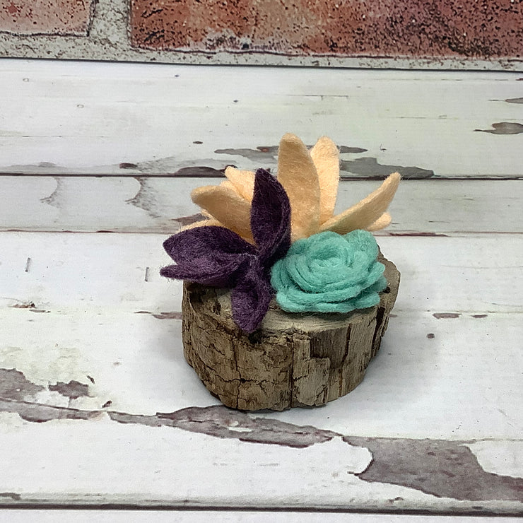 Light Peach Mini Succulent Garden on Natural Wood Base