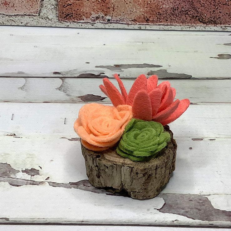 Peach Mini Succulent Garden on Natural Wood Base
