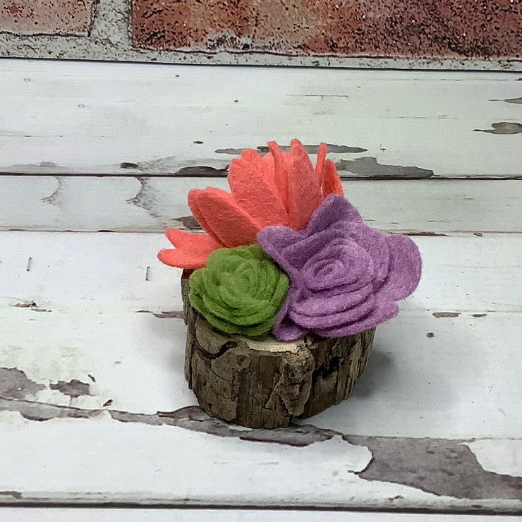 Bright Coral Mini Succulent Garden on Natural Wood Base