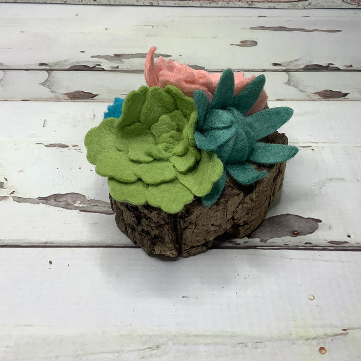 Rose, Green & Teal Small Succulent Garden on Natural Wood Base