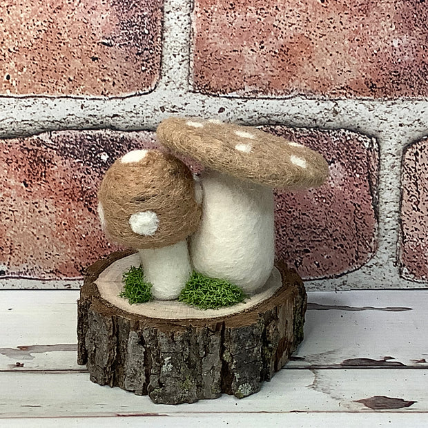 Frog & Fungus – A Woodland Wink in Wool