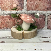 Woodland Wander – A Wooly Mushroom Moment
