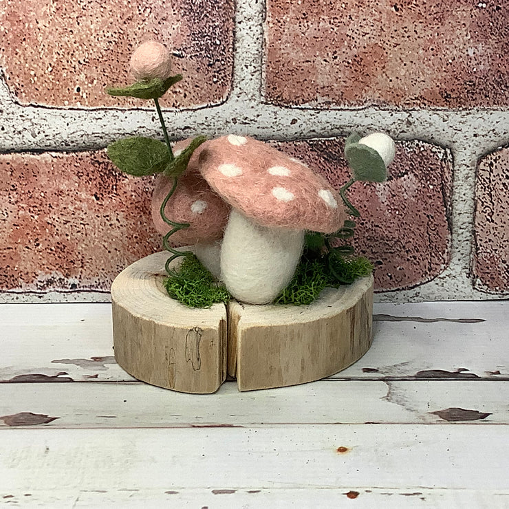 Woodland Wander – A Wooly Mushroom Moment