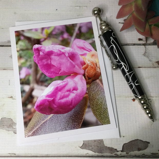 Rhododendron Buds/Card by lydeen