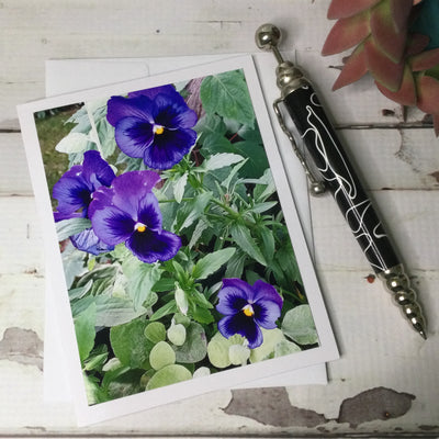 Pansies/Card by lydeen