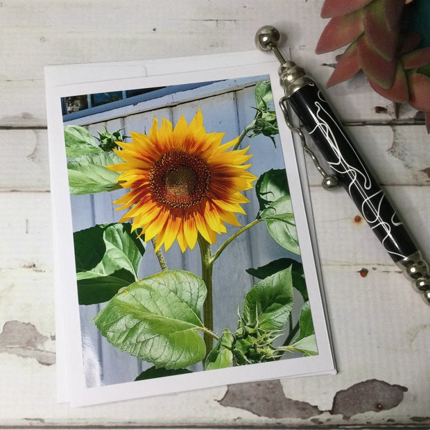 Sunflower/Card by lydeen