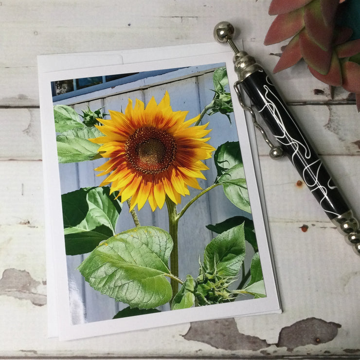 Sunflower/Card by lydeen