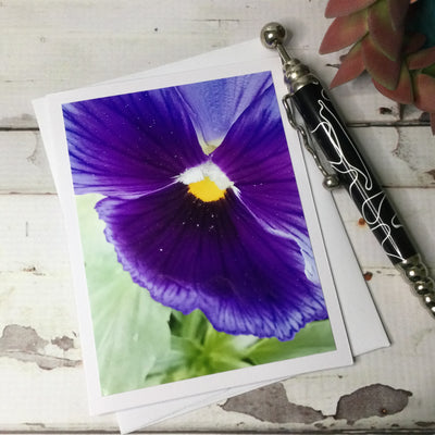 Pansy/Card by lydeen