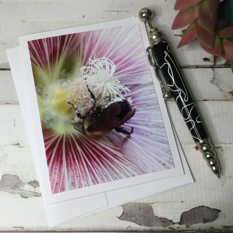 Bee on Hollyhock Bloom/Card by lydeen