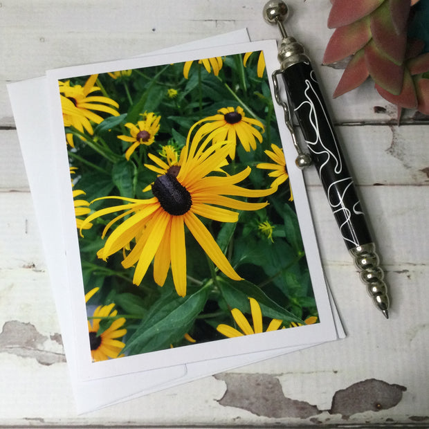 Black Eyed Susans/Card by lydeen