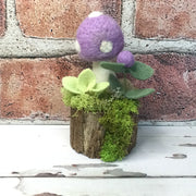 Lavender Wooly Mushroom & Buds on Natural Tree Stump